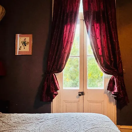 The Dragonfly Treme-Historic Guesthouse-Near French Quarter-3